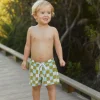 Boys | Kids<Citrine Swim Cole Boardies (kids) // Olive Picnic