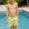 Boys | Kids<Citrine Swim Gus Boardies (kids) // Lime Palms