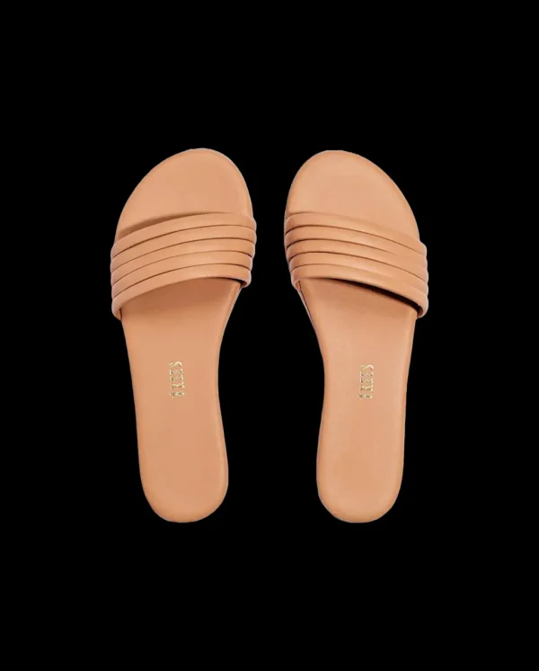 Shoes<Citrine Swim Tkees Serena Sandal // Pout